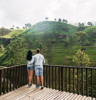 shutterstock_1045954636