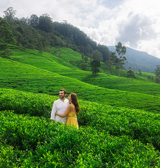 shutterstock_2342247699