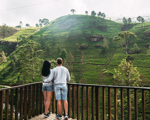shutterstock_1045954636